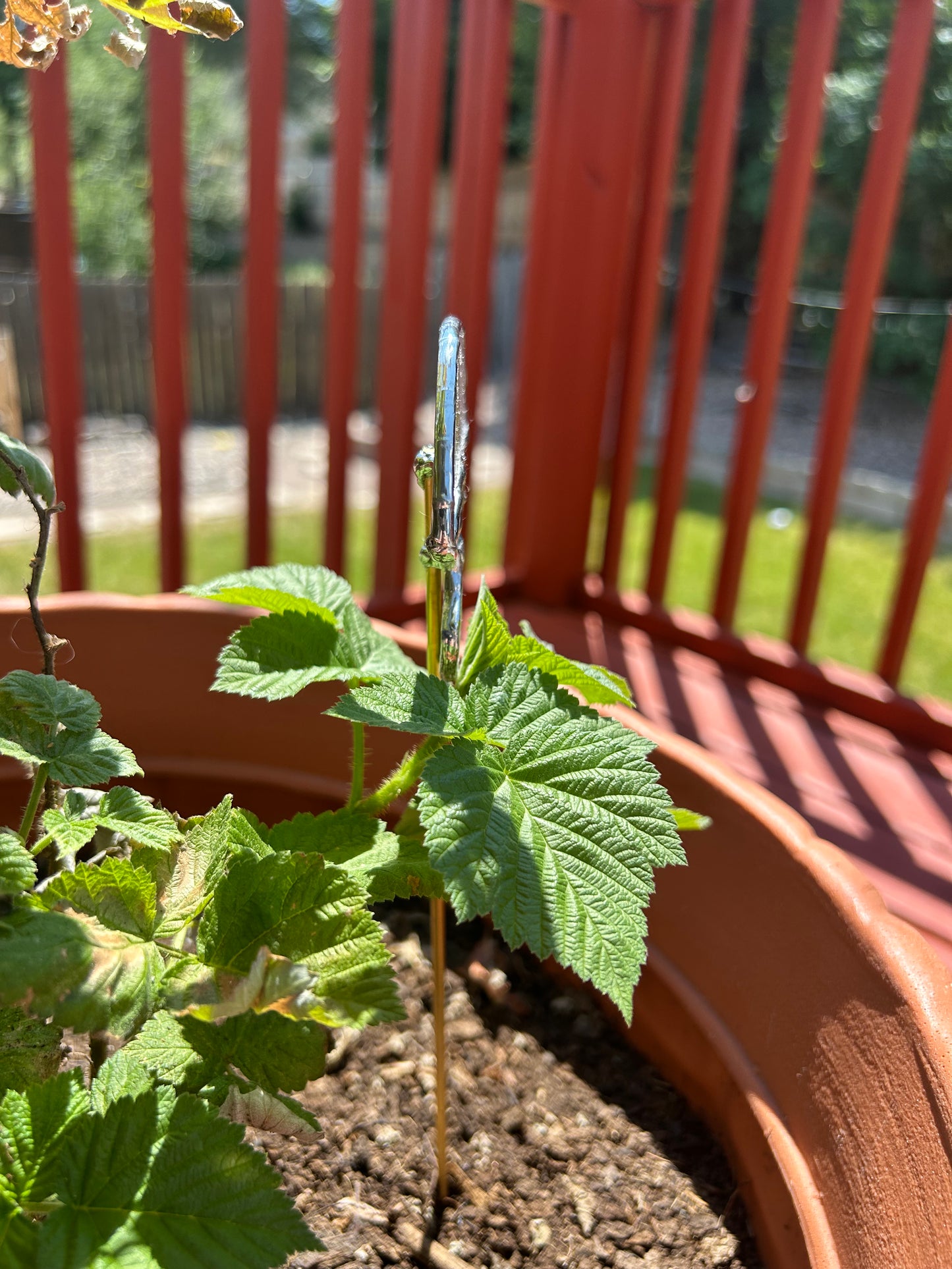 Stained Glass Trippy Green Mushroom Garden Stake